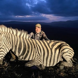 Zebra Hunt Eastern Cape South Africa