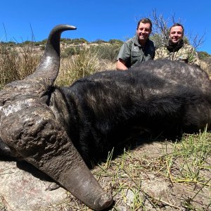 Buffalo Hunt South Africa