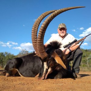 Sable Hunt North West Province South Africa