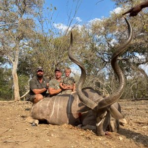 Kudu Hunting South Africa