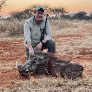 Warthog Hunt South Africa