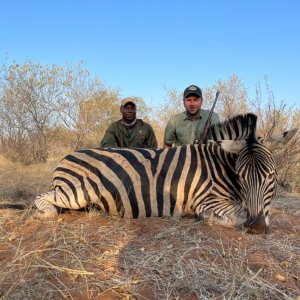 Zebra Hunt South Africa