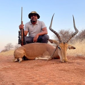 Impala Hunt South Africa