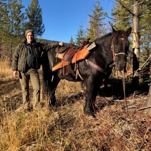 Hunting Horse Horseshoe Creek