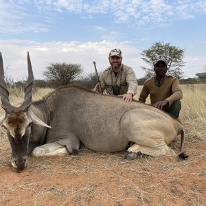 Eland Hunting Namibia