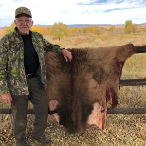 Elk Cow Skin Raton New Mexico