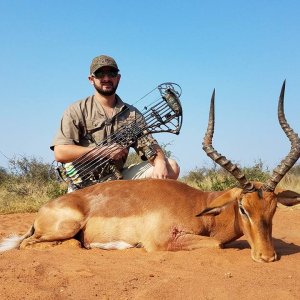 Impala Bow Hunt South Africa