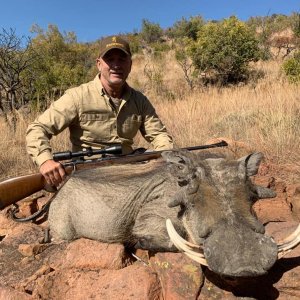 Warthog Hunt South Africa