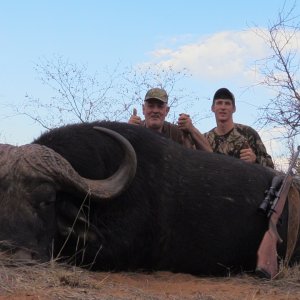 Buffalo Hunt South Africa