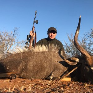 Nyala Hunt South Africa