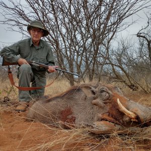 Warthog Hunting South Africa