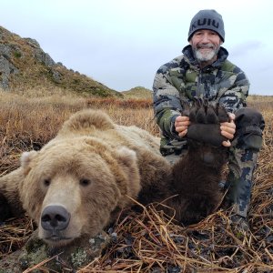 Brown Bear Hunt Alaska