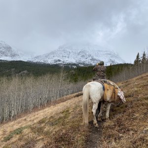 Scenery Alberta Canada