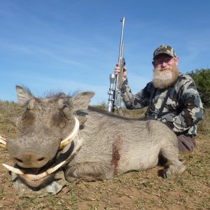 Warthog Hunting