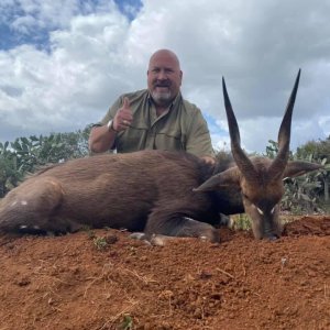 Bushbuck Hunt Limpopo South Africa