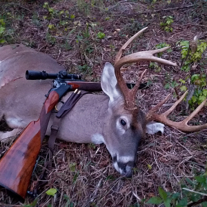 White-tailed deer Hunting