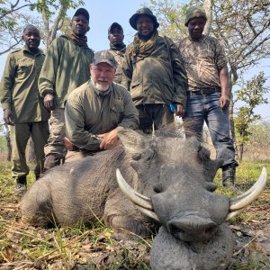 Warthog Hunting Tanzania