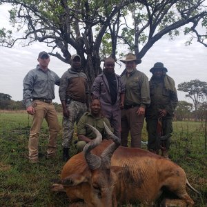 Hartebeest Hunting Tanzania