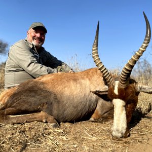 Blesbok Hunting South Africa