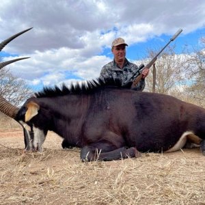 Sable Hunting South Africa