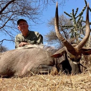 Nyala Hunting South Africa