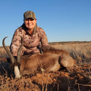 Black Springbok Hunt Northern Cape South Africa