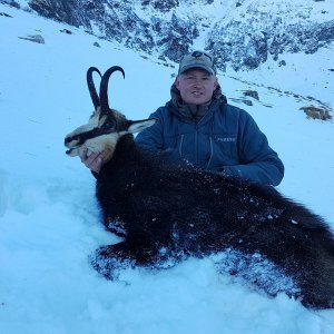 Chamois Hunting Romainia