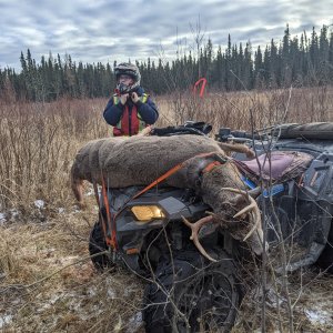 Whitetail Deer Hunting