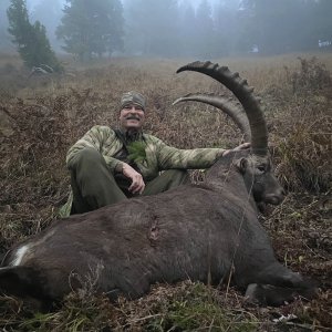 Alpine Ibex Hunt Austria