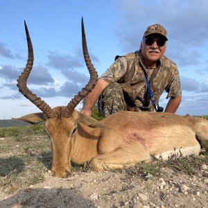 Impala Hunt Eastern Cape South Africa