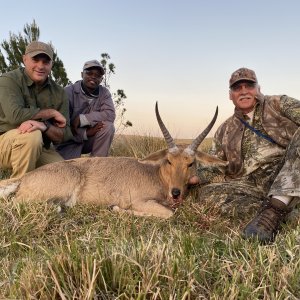 Reedbuck Hunt Eastern Cape South Africa