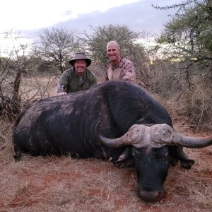 Buffalo Hunt South Africa