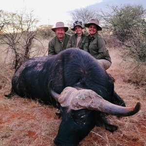 Buffalo Hunt South Africa