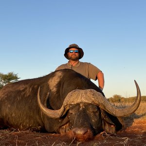 Buffalo Hunt South Africa