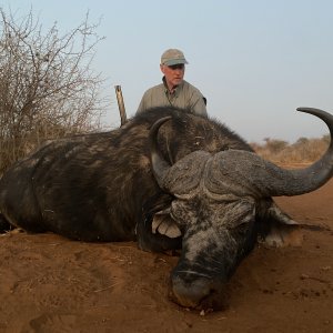 Buffalo Hunt South Africa