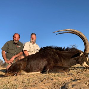 Sable Hunt South Africa