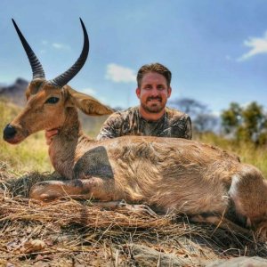 Reedbuck Hunt South Africa