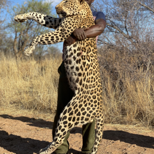 Leopard Hunting Namibia