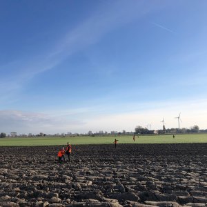 Hunting For Pheasant, Partridge & Hare Flanders