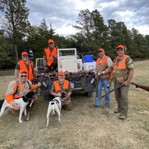 Pheasant & Chukar Hunting