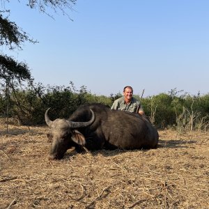 Buffalo Hunt Zimbabwe