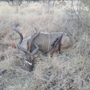 Kudu Hunting Limpopo South Africa