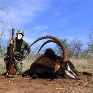 Sable Hunt South Africa