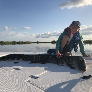 Alligator Hunt