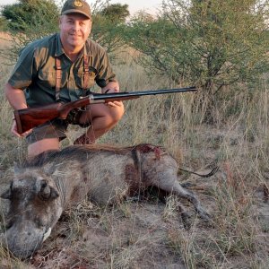 Warthog Hunt Kalahari South Africa