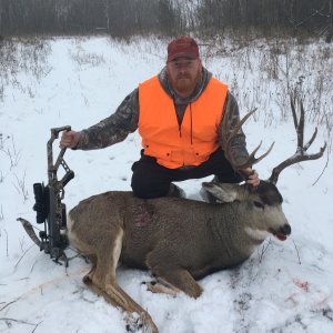 Mule Deer Hunting