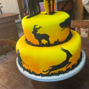 African Themed Groom’s Cake