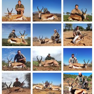 Springbok Hunting South Africa