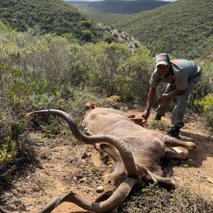 Kudu Hunt Eastern Cape South Africa