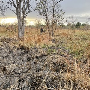 Scenery Selous Game Reserve Tanzania